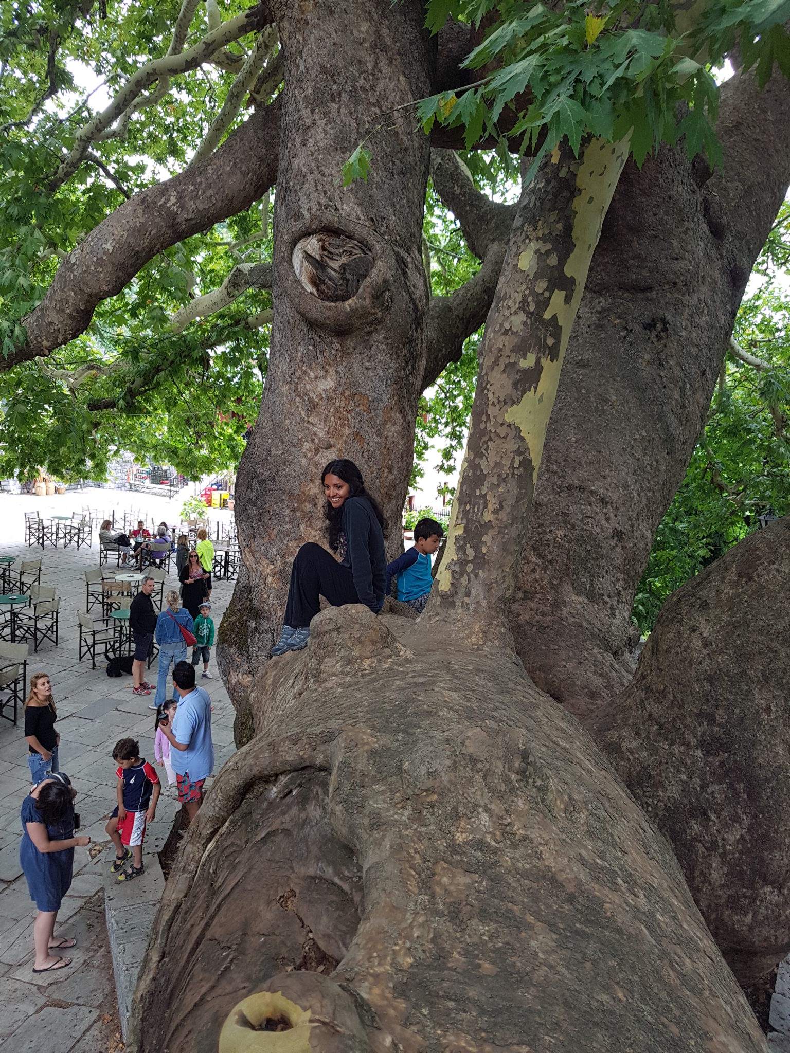 our Bollywood dance instructor sits in the oldest plane tree in Greece, 2000 years old and counting. Tsagarada