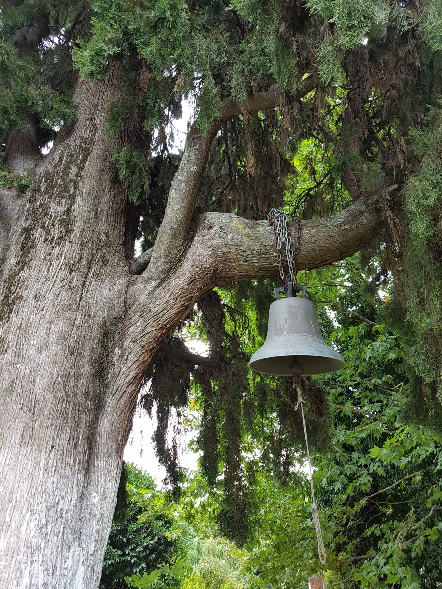 on our walk down to Papa Nero from Tsagarada we come across this bell hanging in a tree next to a sweet little church, the temptation is to ring it!