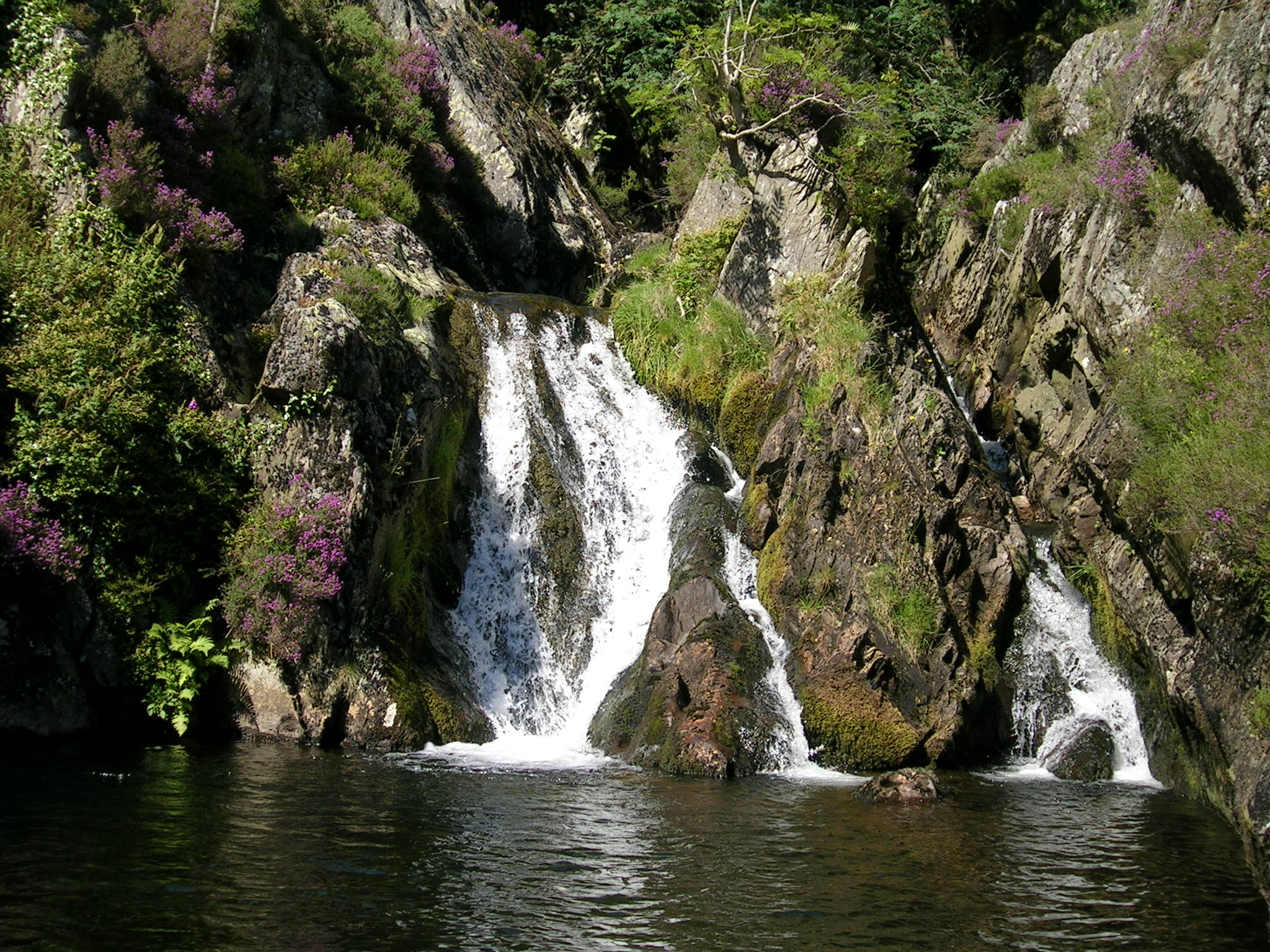 Swimming spot at a waterfall at Dinas Mawddy, Mid Wales