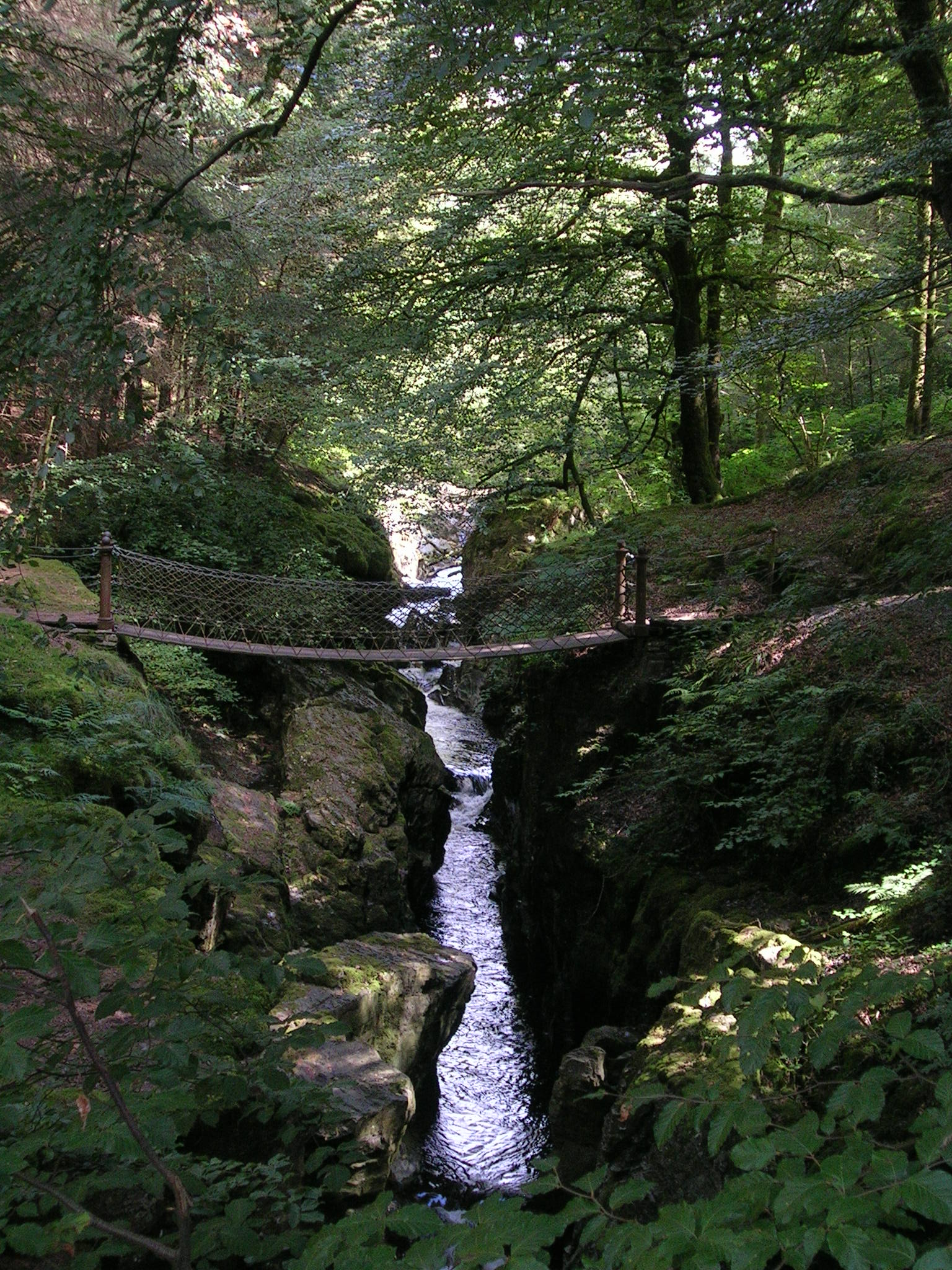 A footbridge across a stream in the Hafor, Powys